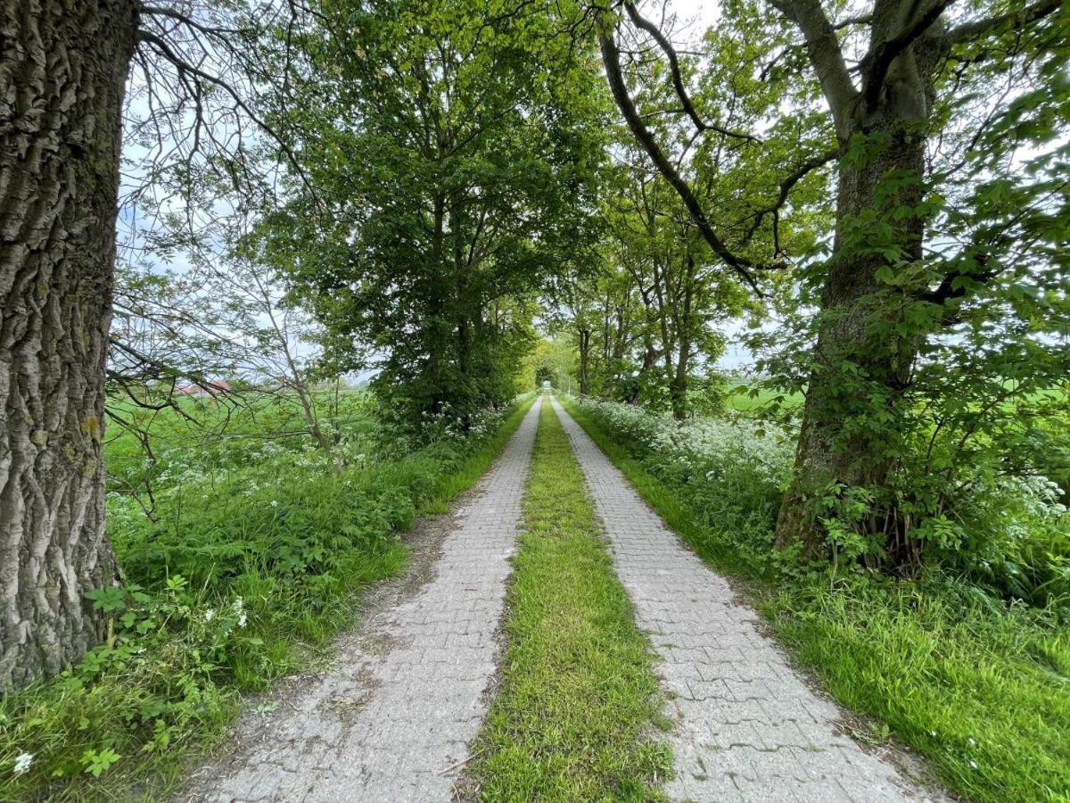 Mooi Stuv , Maisonettenwohnung , Gulfhof , Kachelofen Norden Buitenkant foto